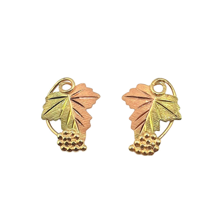 APPRAISED $120- 10KT Tri-Colored Gold Leaf Designed Earrings