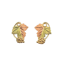 APPRAISED $120- 10KT Tri-Colored Gold Leaf Designed Earrings