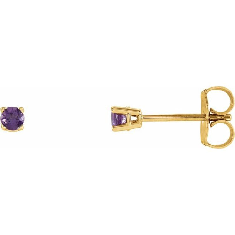 14K Yellow Gold 2.5 mm Natural Amethyst Earrings