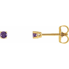 14K Yellow Gold 2.5 mm Natural Amethyst Earrings