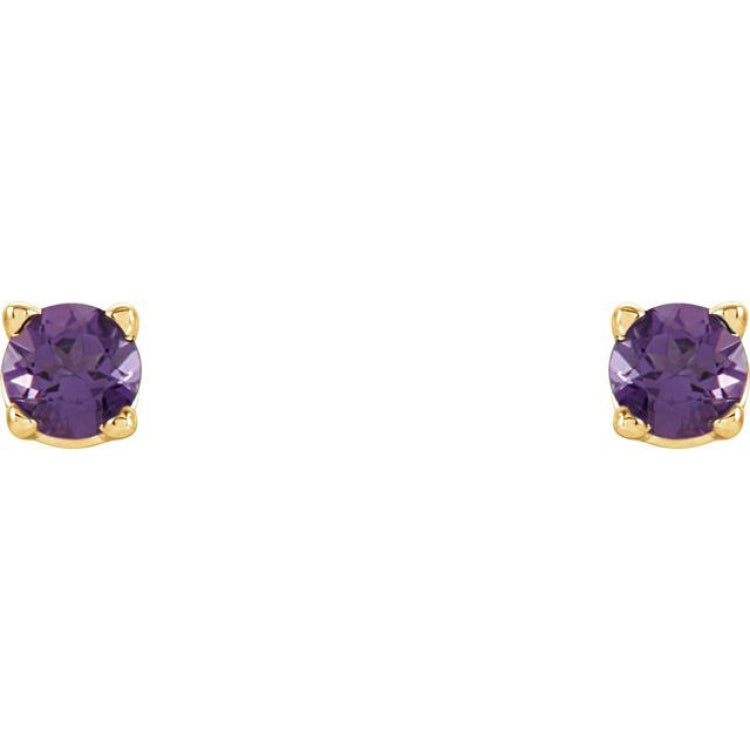 14K Yellow Gold 2.5 mm Natural Amethyst Earrings