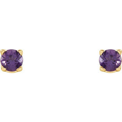 14K Yellow Gold 2.5 mm Natural Amethyst Earrings