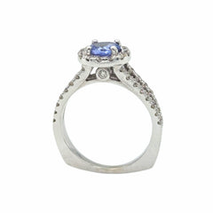 APPRAISED $4205- 14Kt White Gold Tanzanite with Split Euro Shank and Diamond Halo