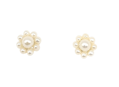 APPRAISED $60- 10KT Yellow Gold Freshwater Pearl Earring