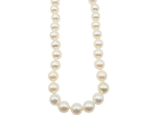 APPRAISED $800- 14KT White Gold 16.5" Strand of A+ Pearls