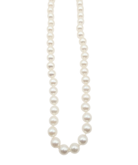 APPRAISED $850- 14KT Yellow Gold 16.5" Strand of Cultured Pearls